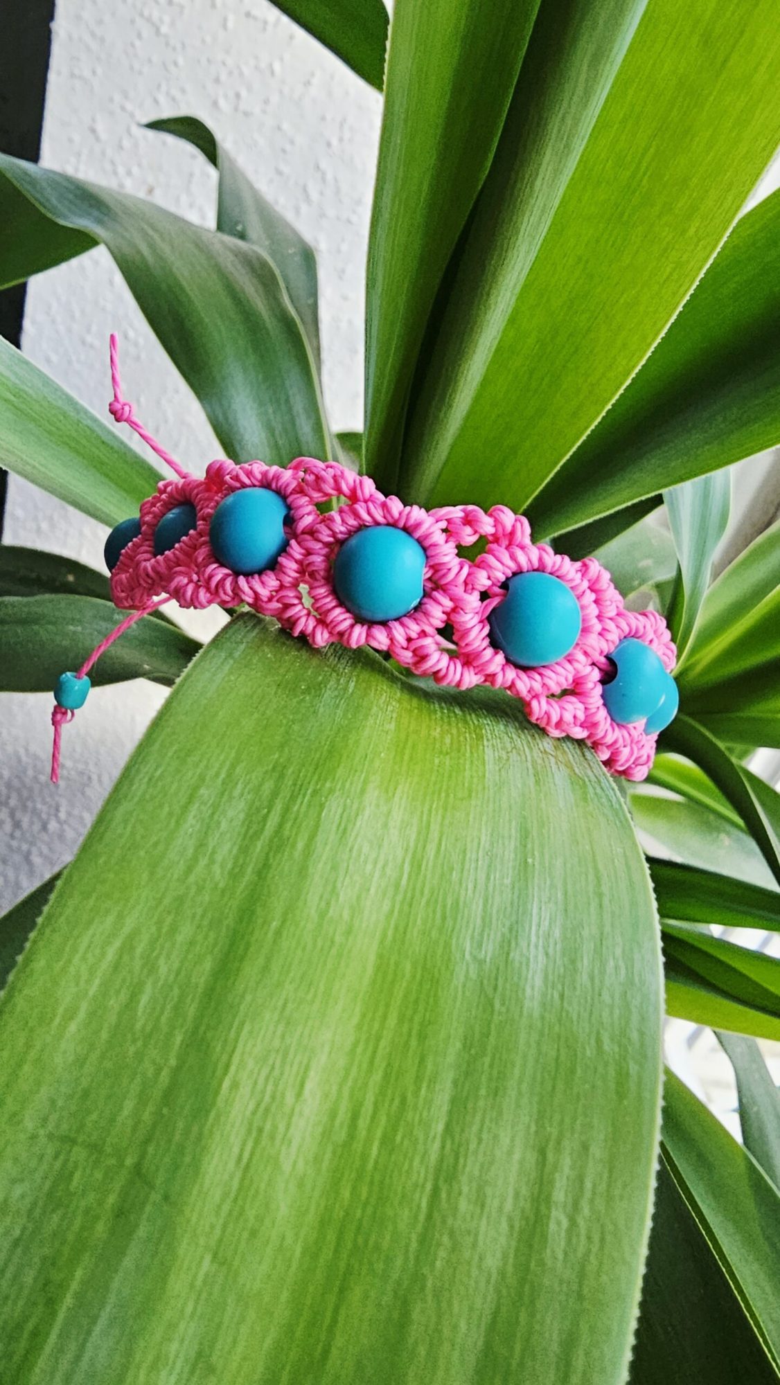 Fleur de lagon – Image 4